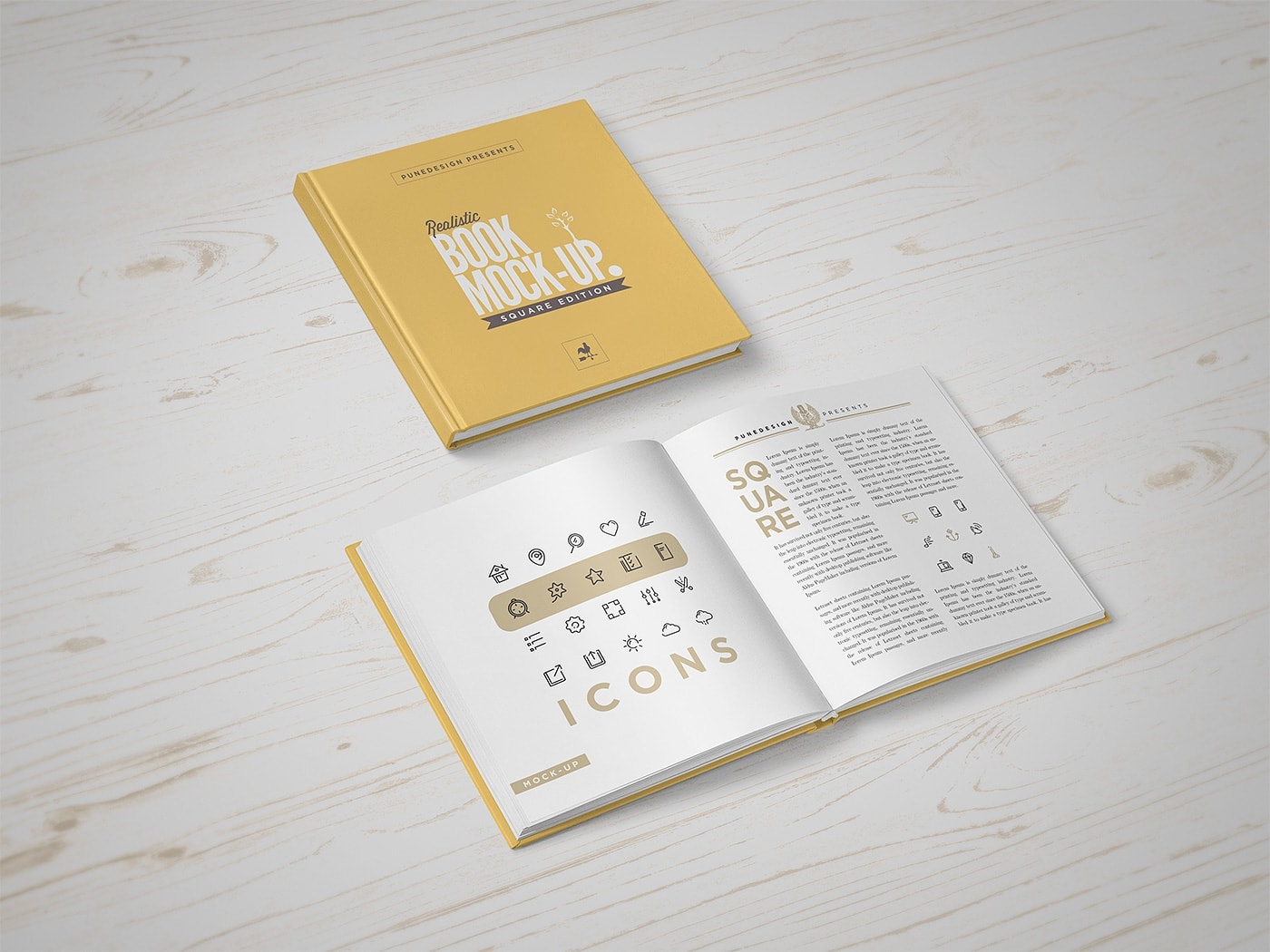 Book Mockup - Sanfrancisco Assessors